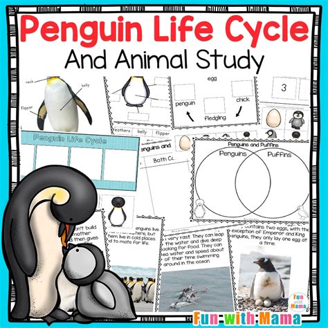 Printable Penguin Life Cycle